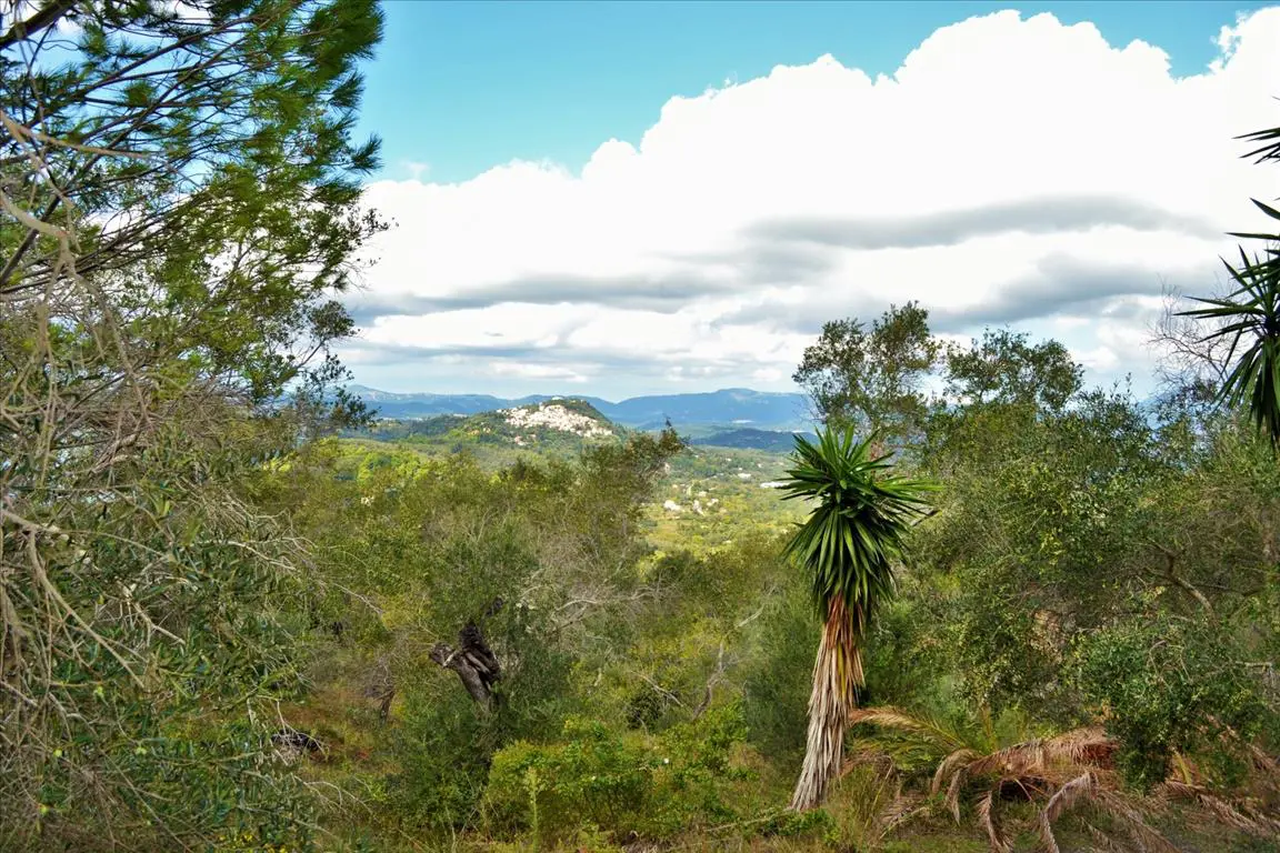 Land Of 4673 M² In Corfu