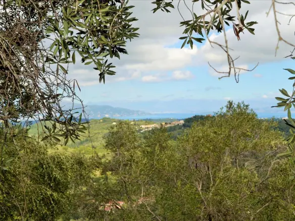 Land In Corfu, Greece
