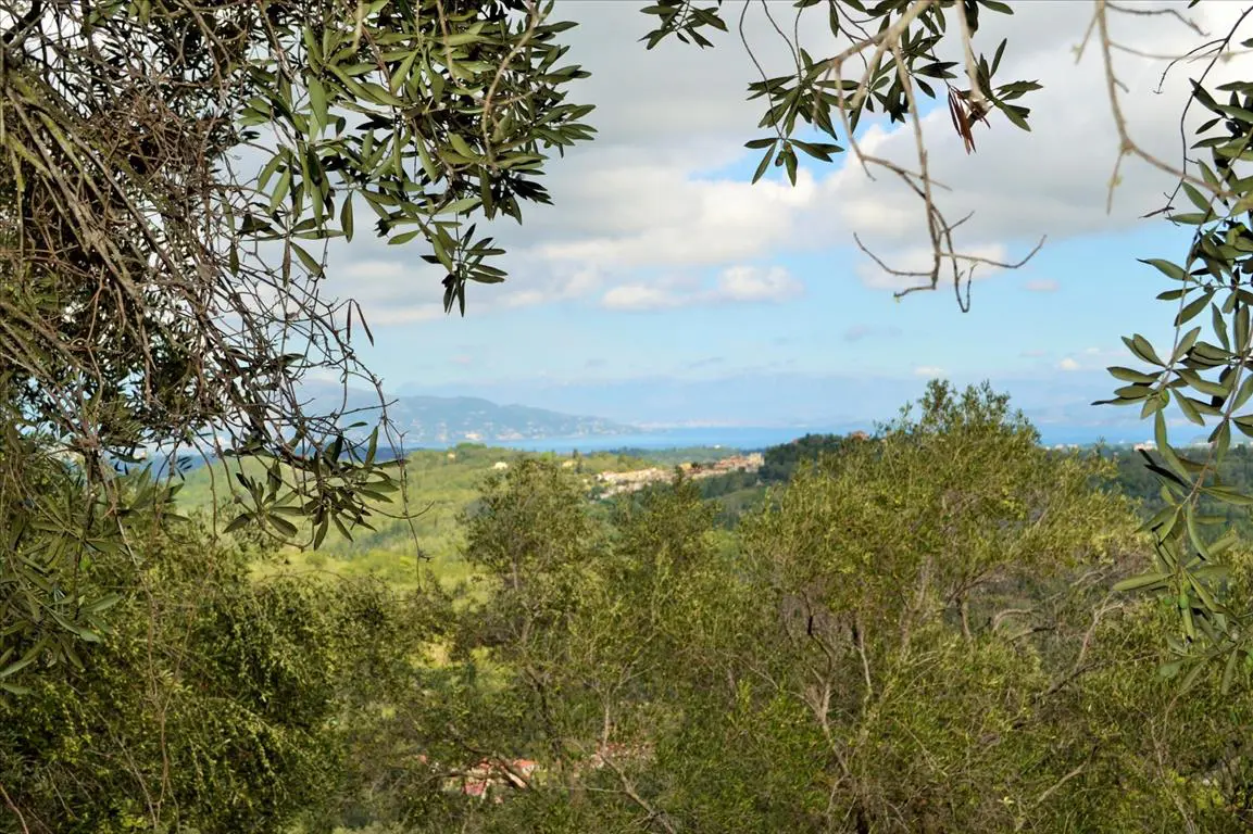 Land Of 4673 M² In Corfu