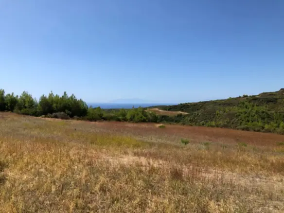 Land Of 22902 M² In Kassandra, Chalkidiki