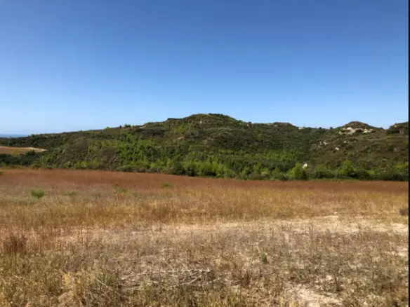 Land In Kassandra, Greece