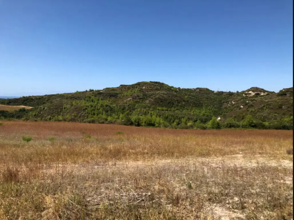 Land Of 22902 M² In Kassandra, Chalkidiki