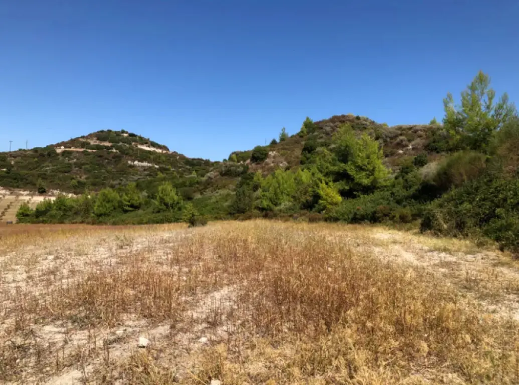 Land Of 22902 M² In Kassandra, Chalkidiki