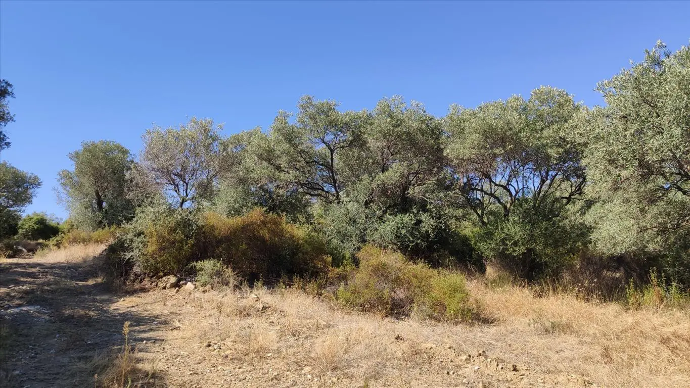 Land Of 12750 M² In Athos, Chalkidiki