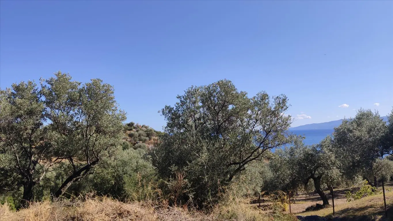 Land Of 12750 M² In Athos, Chalkidiki