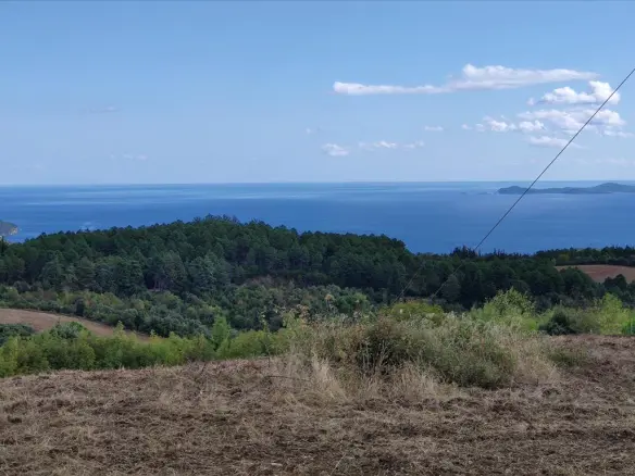 Land Of 17000 M² In Athos, Chalkidiki