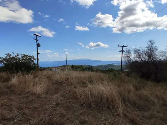 Land Of 23000 M² In Athos, Chalkidiki