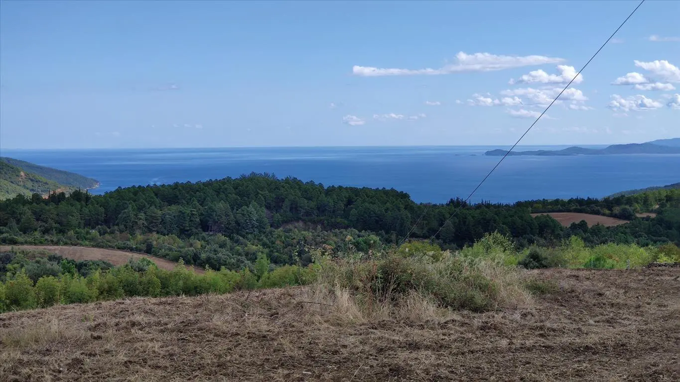 Land Of 23000 M² In Athos, Chalkidiki