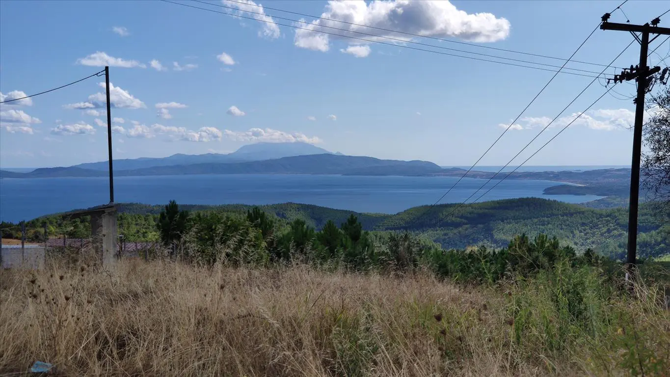 Land Of 50000 M² In Athos, Chalkidiki