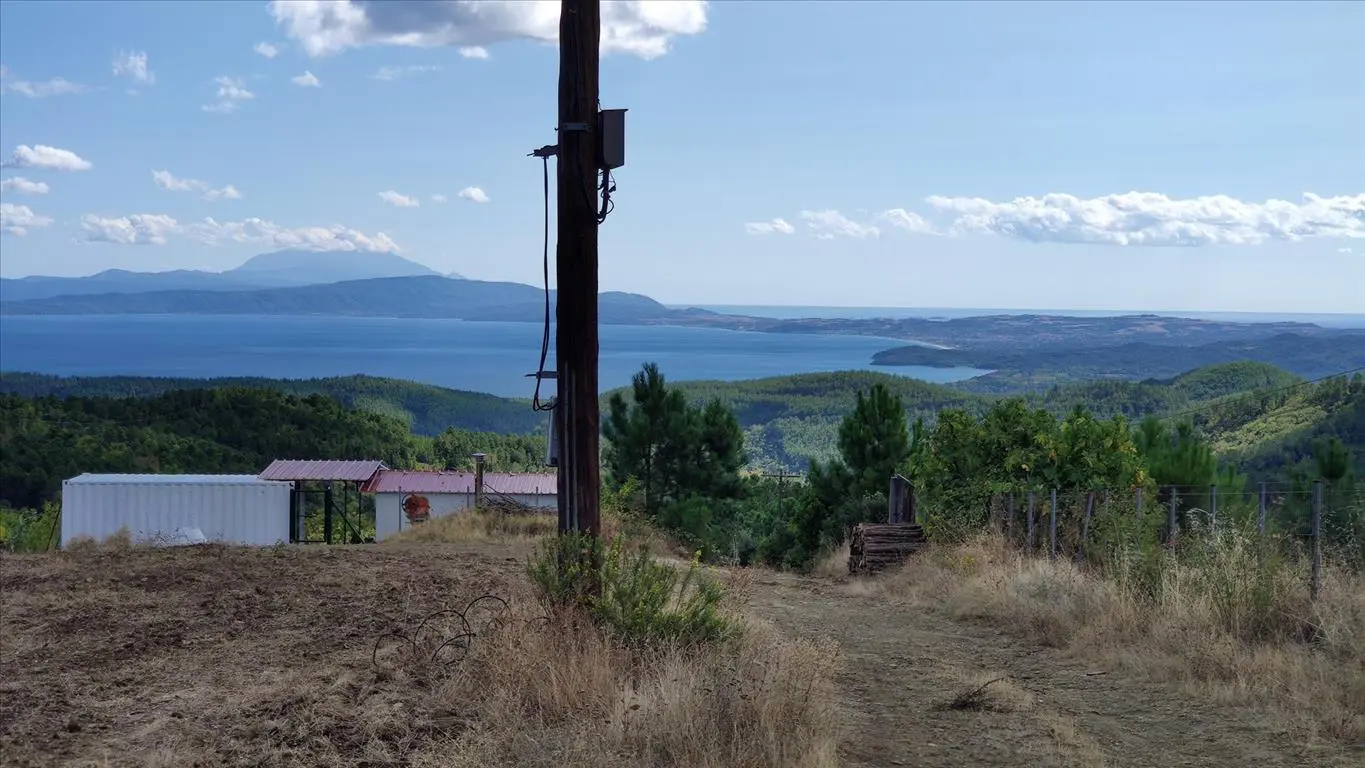 Land Of 50000 M² In Athos, Chalkidiki