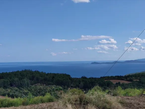Land Of 50000 M² In Athos, Chalkidiki
