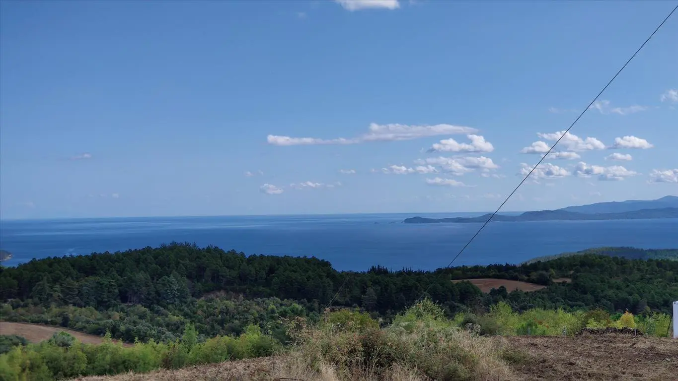 Land Of 100000 M² In Athos, Chalkidiki