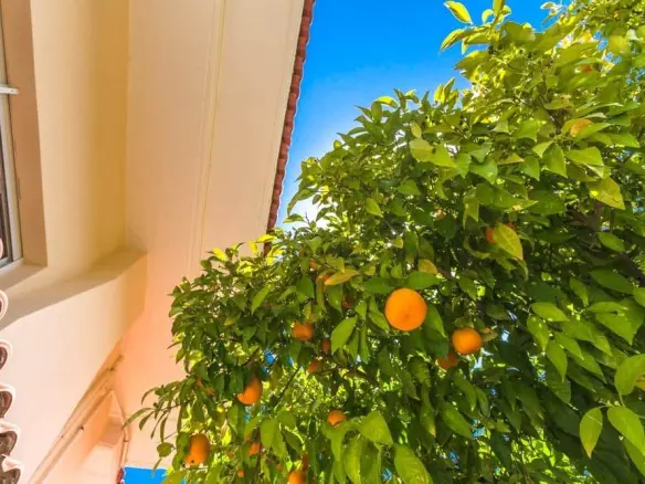 Maisonette In Lykovrisi, Greece (667 M²)