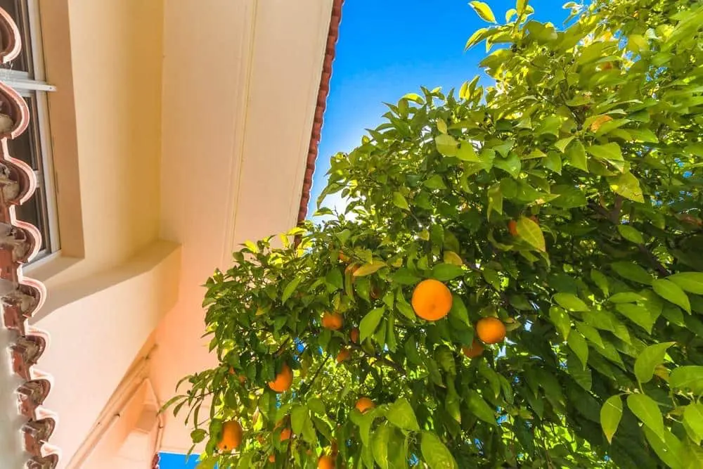 Maisonette Of 667 M² In Attica