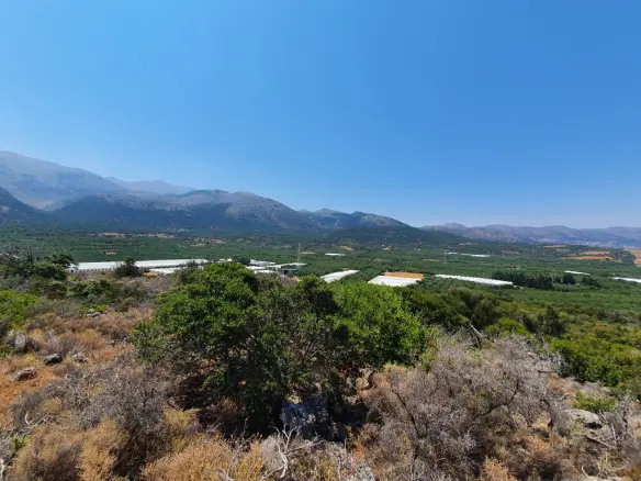 Land In Vrachasi, Greece