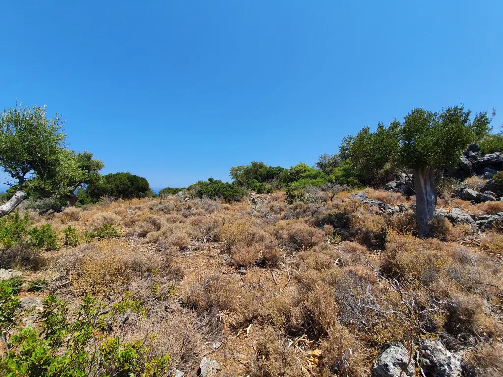 Land Of 5071 M² In Crete