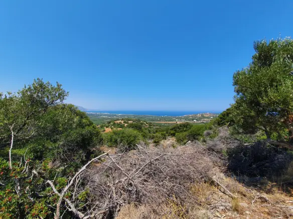 Land Of 5071 M² In Crete