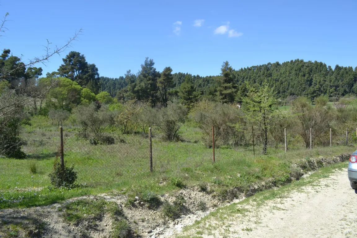 Land Of 8347 M² In Kassandra, Chalkidiki