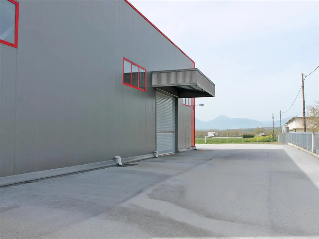 Business Of 700 M² In Olympic Coast