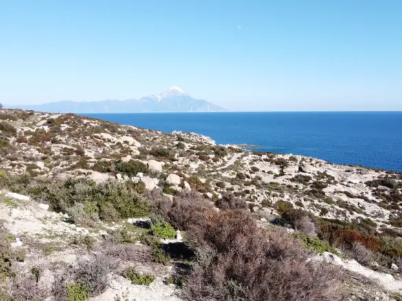 Land In Sithonia, Greece (500 M²)