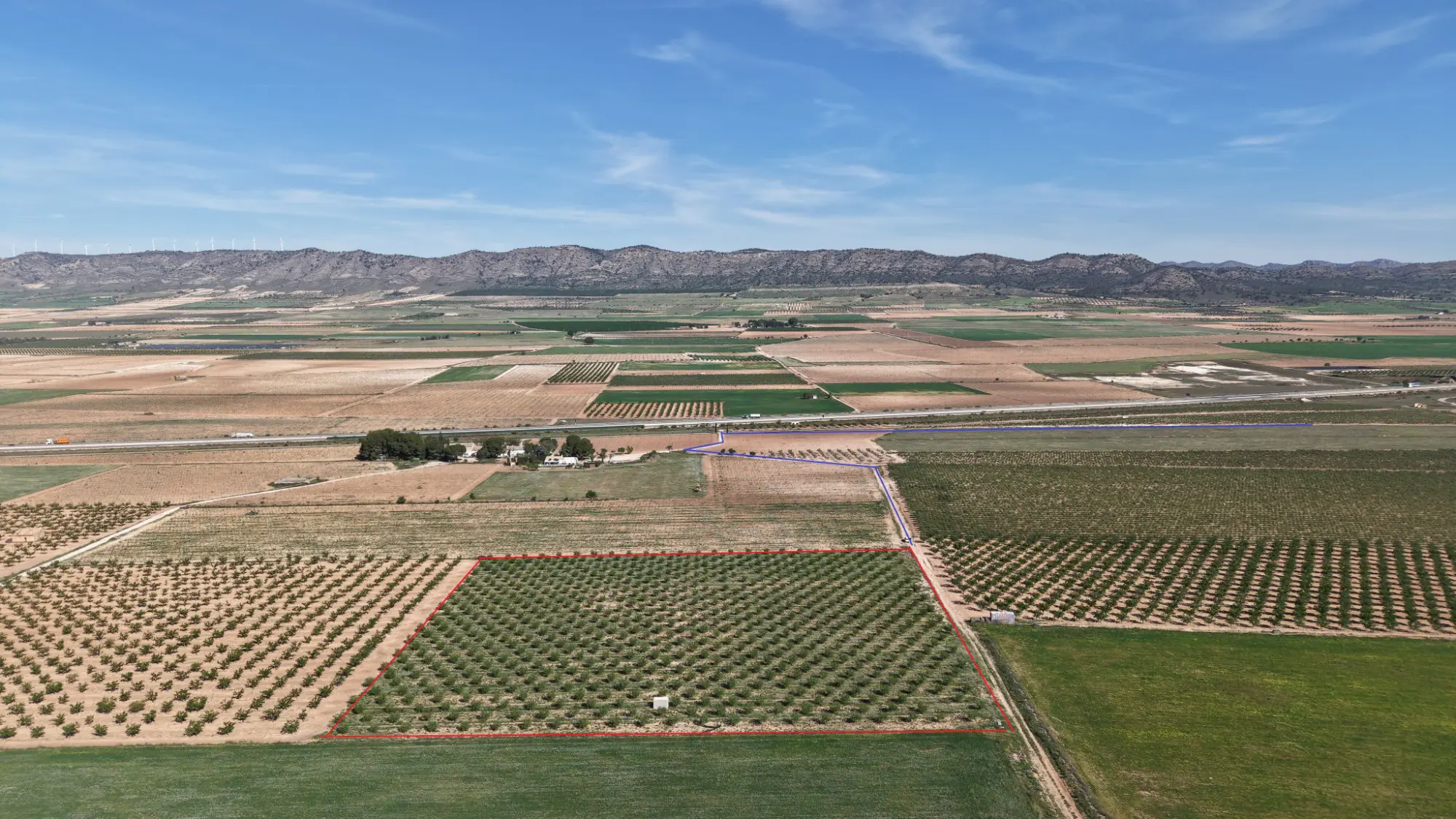 Land Of 0 M² In Yecla, Spain