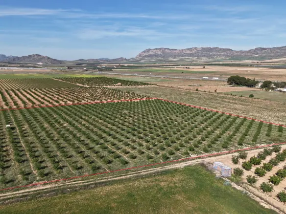 Land Of 0 M² In Yecla, Spain