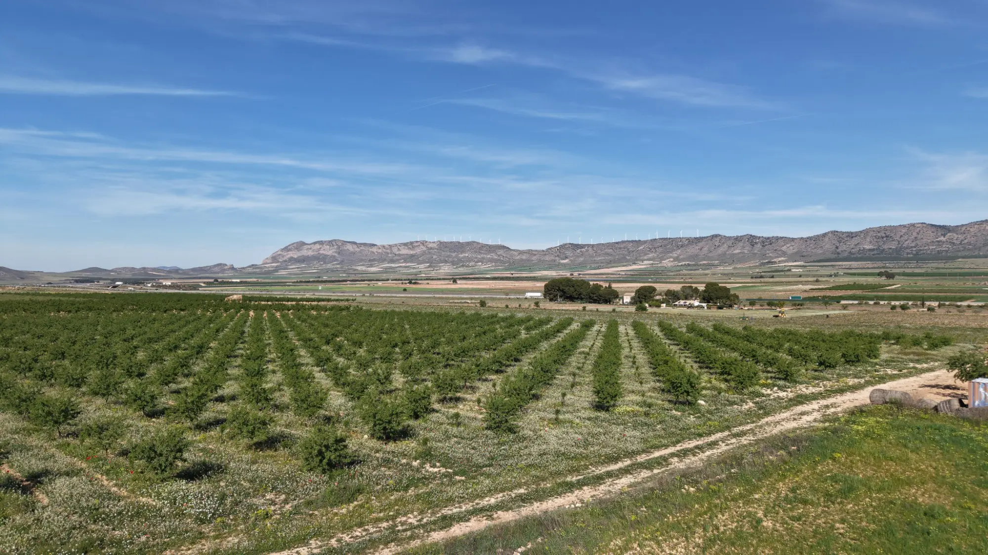 Land Of 0 M² In Yecla, Spain