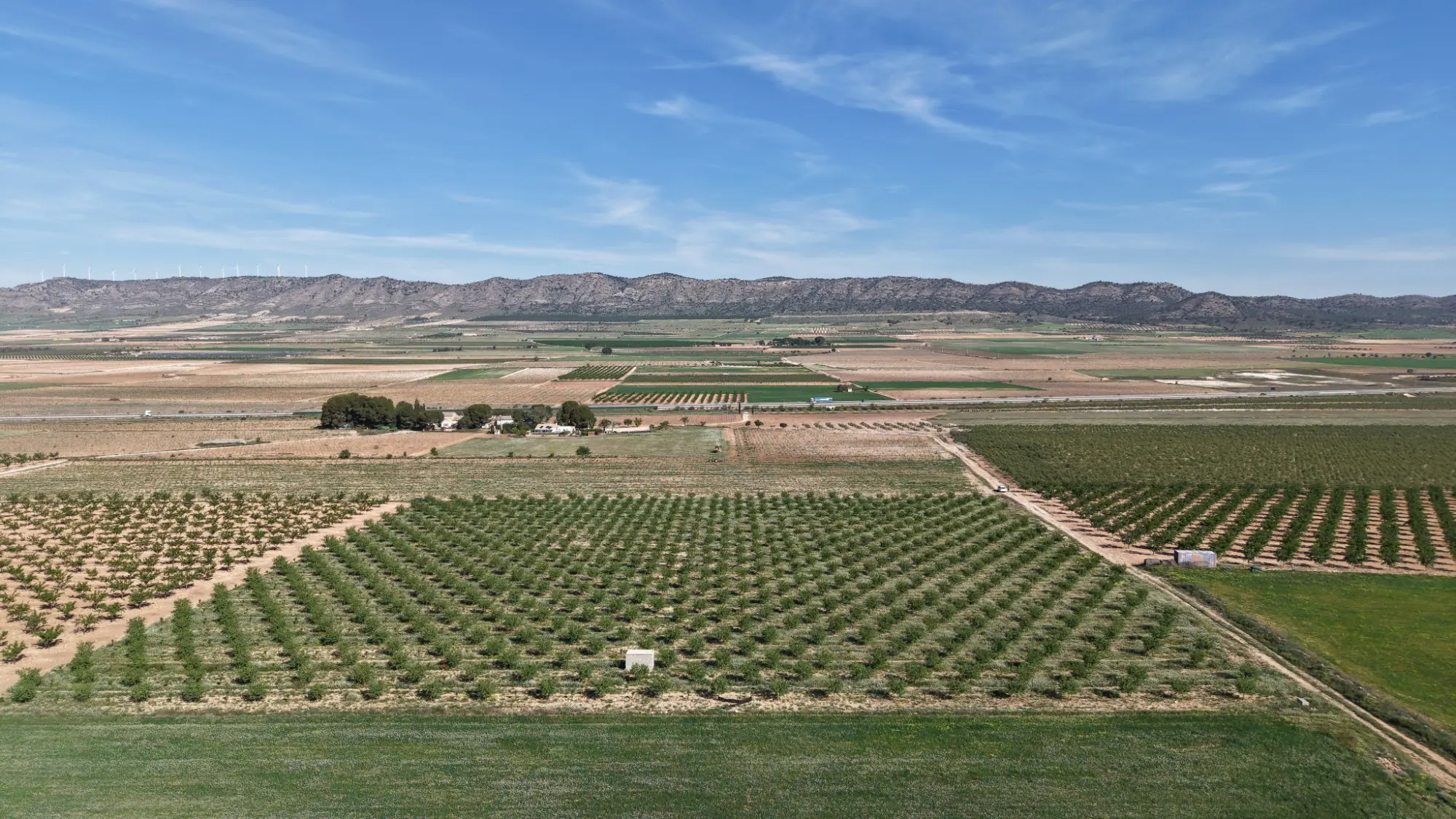 Land Of 0 M² In Yecla, Spain