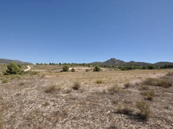 Land Of 0 M² In Salinas, Spain