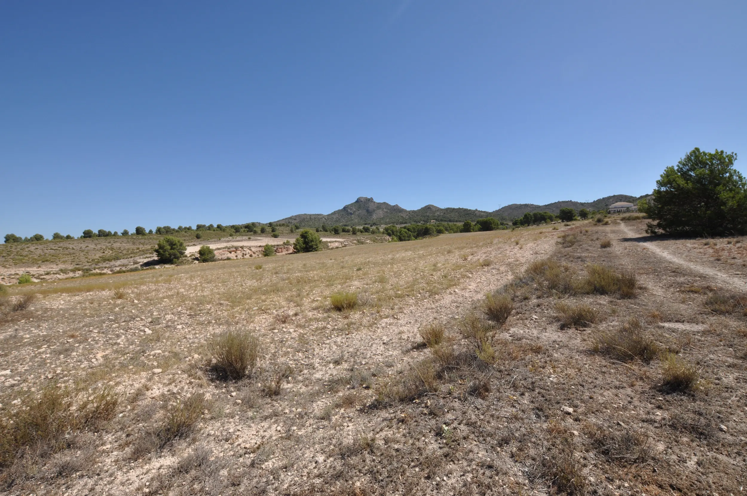 Land Of 0 M² In Salinas, Spain
