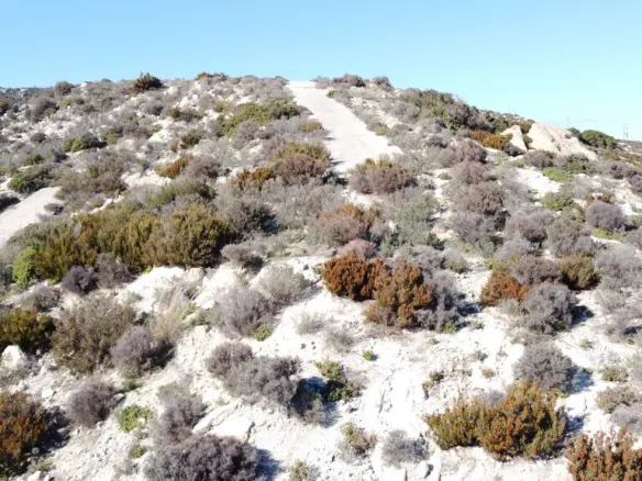 Land In Sithonia, Greece (500 M²)