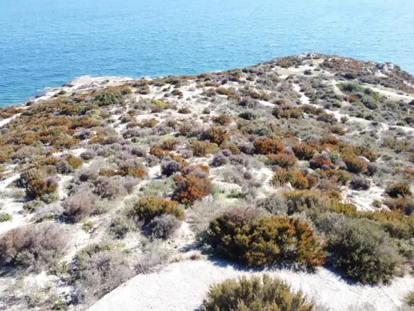 Land In Sithonia, Greece (500 M²)