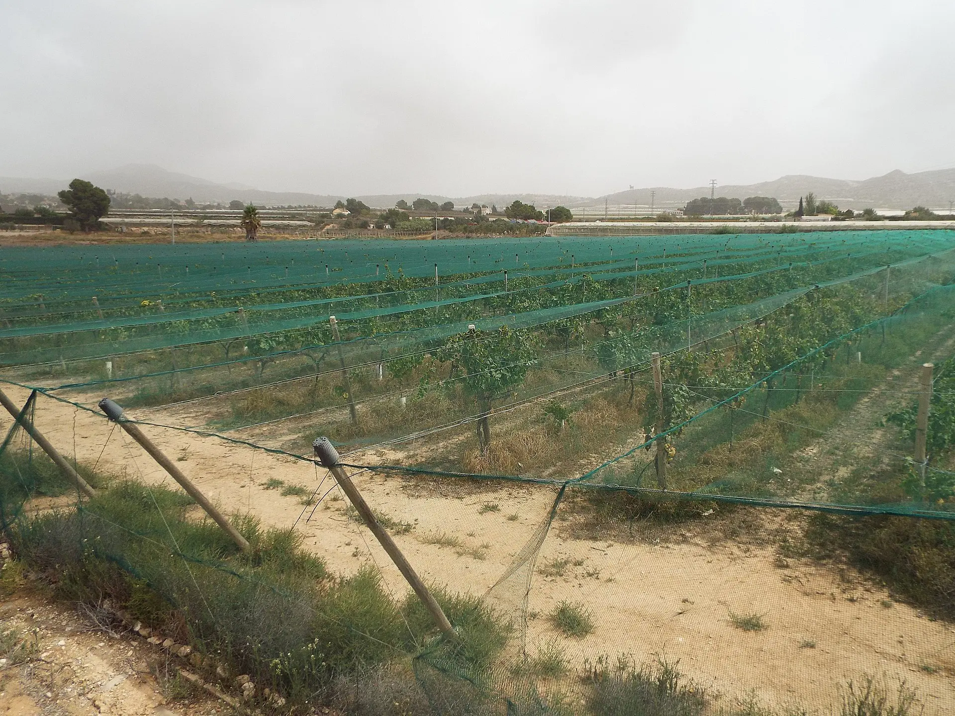 Land Of 0 M² In Monforte Del Cid, Spain