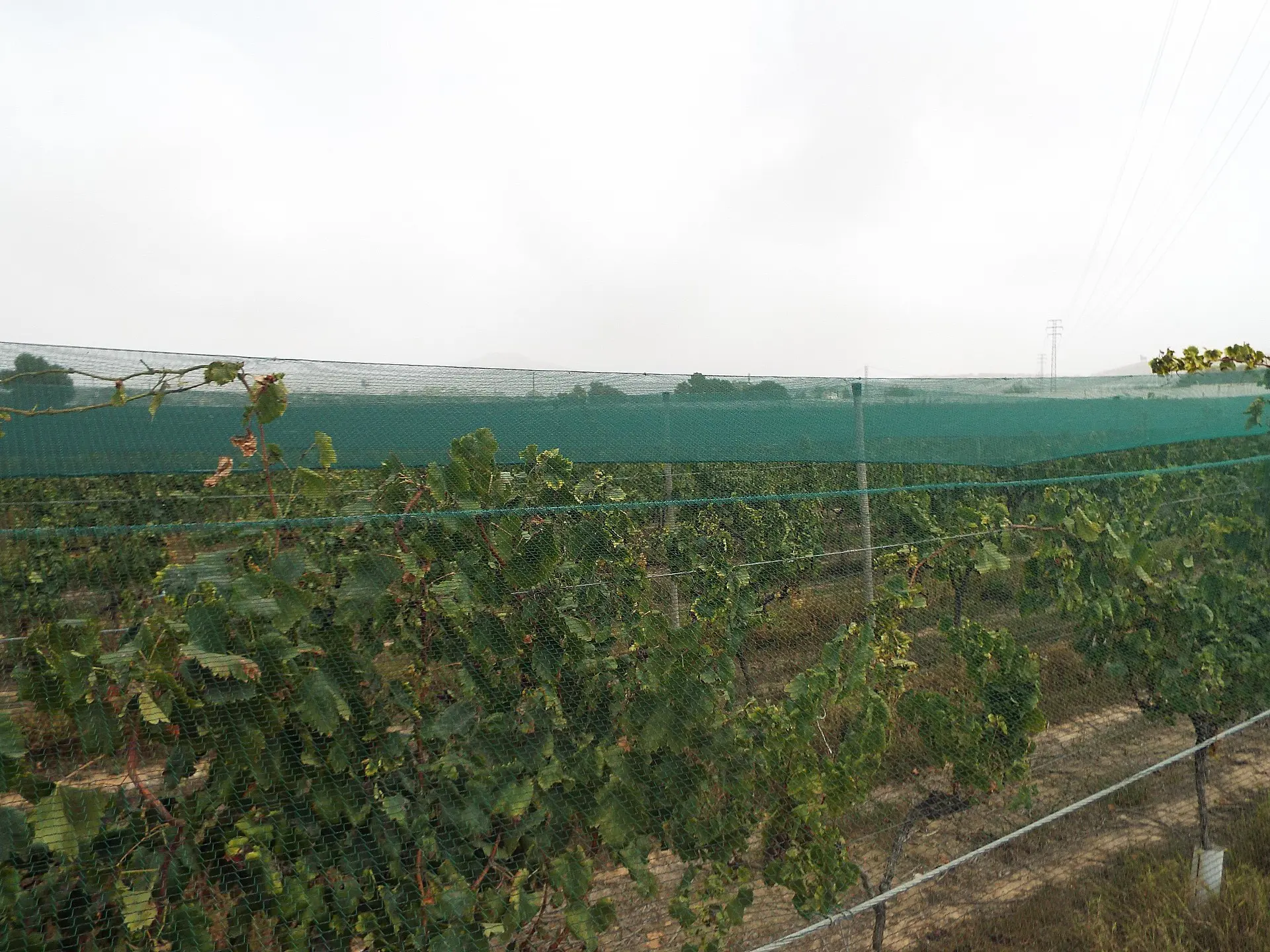 Land Of 0 M² In Monforte Del Cid, Spain