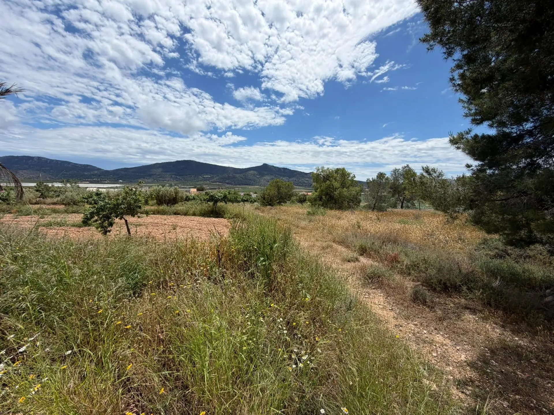Restoration Project Of 190 M² In Hondón De Las Nieves, Spain