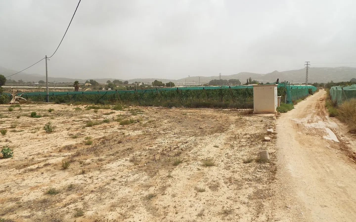 Land In Monforte Del Cid, Spain (14.694 M² Plot)