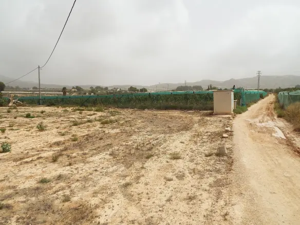 Land In Monforte Del Cid, Spain (14.694 M² Plot)