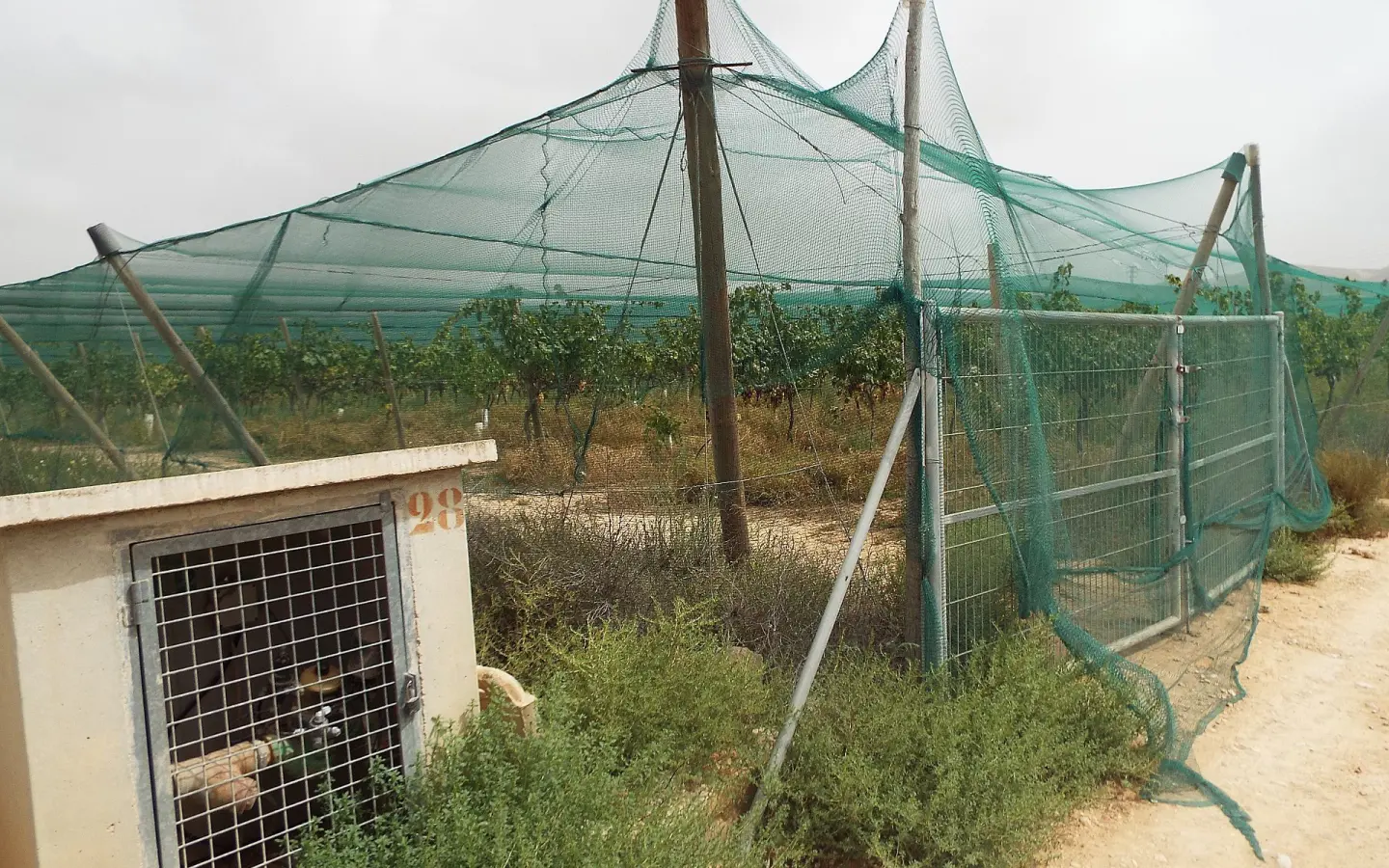 Land In Monforte Del Cid, Spain (14.694 M² Plot)