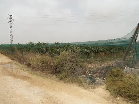 Land In Monforte Del Cid, Spain (14.694 M² Plot)