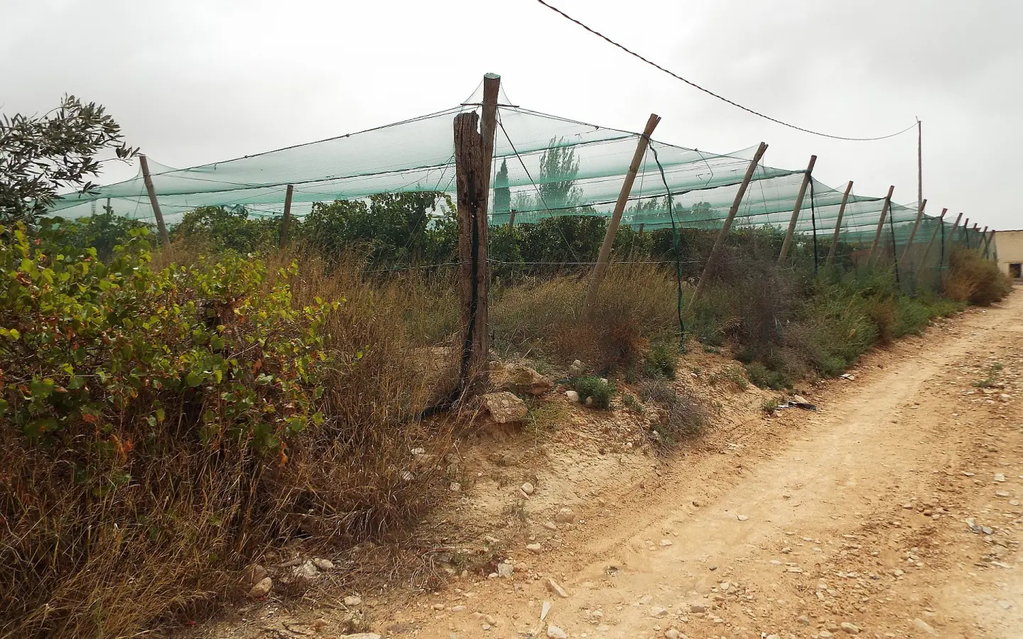 Land In Monforte Del Cid, Spain (14.694 M² Plot)