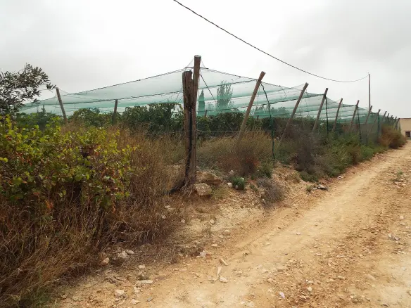 Land In Monforte Del Cid, Spain (14.694 M² Plot)