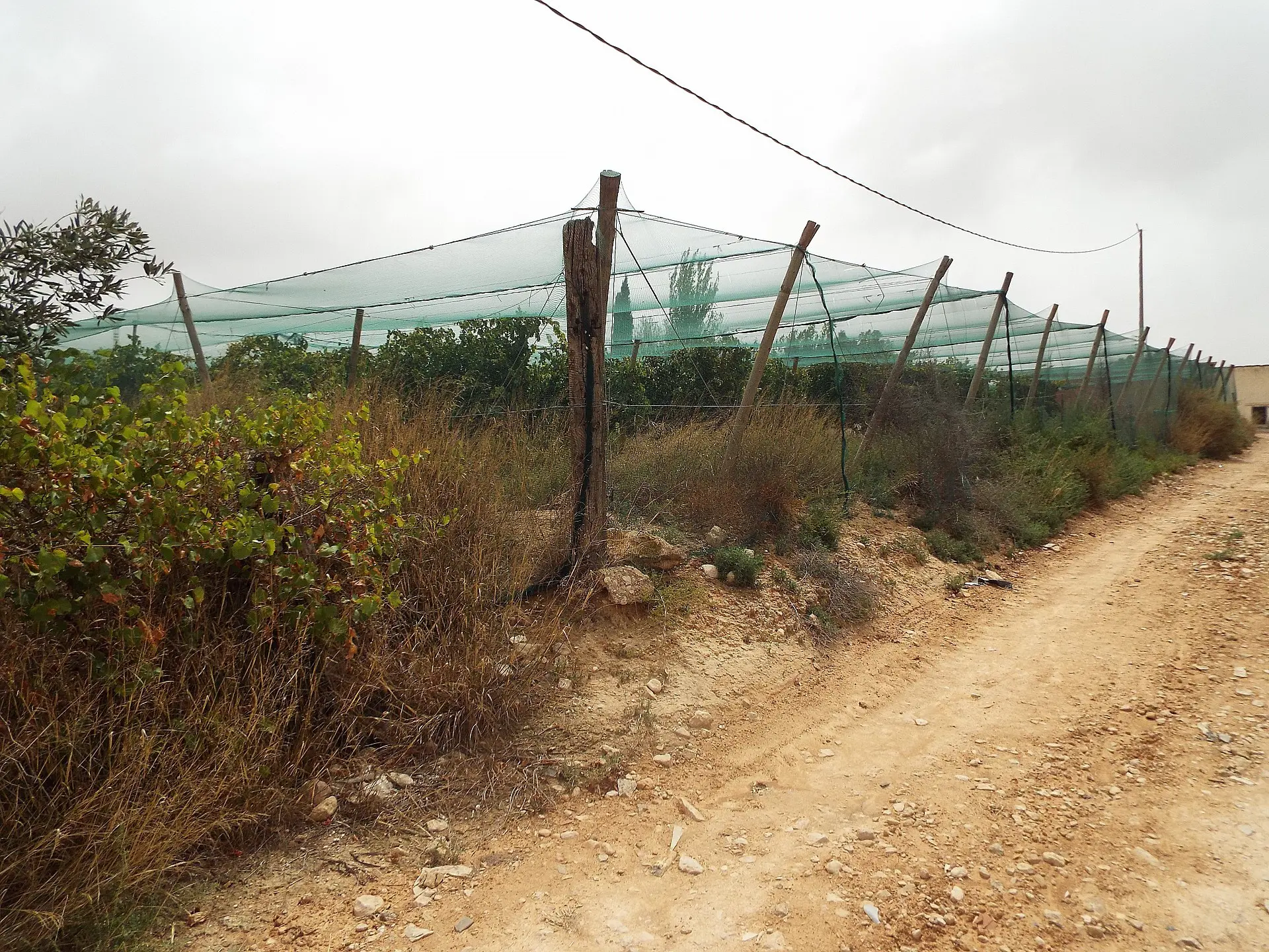 Land Of 0 M² In Monforte Del Cid, Spain