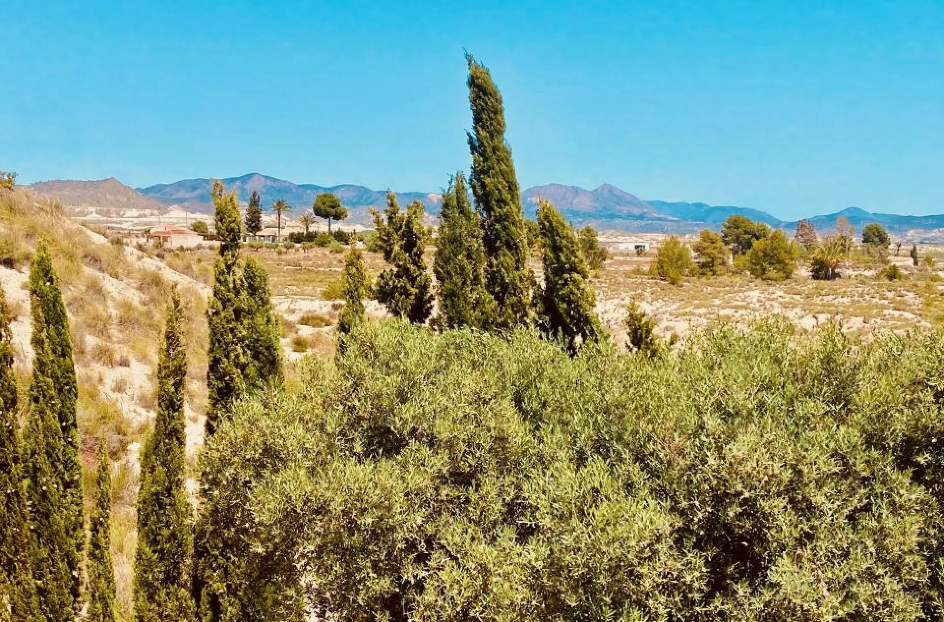 Detached Villa Of 176 M² In Fortuna, Spain
