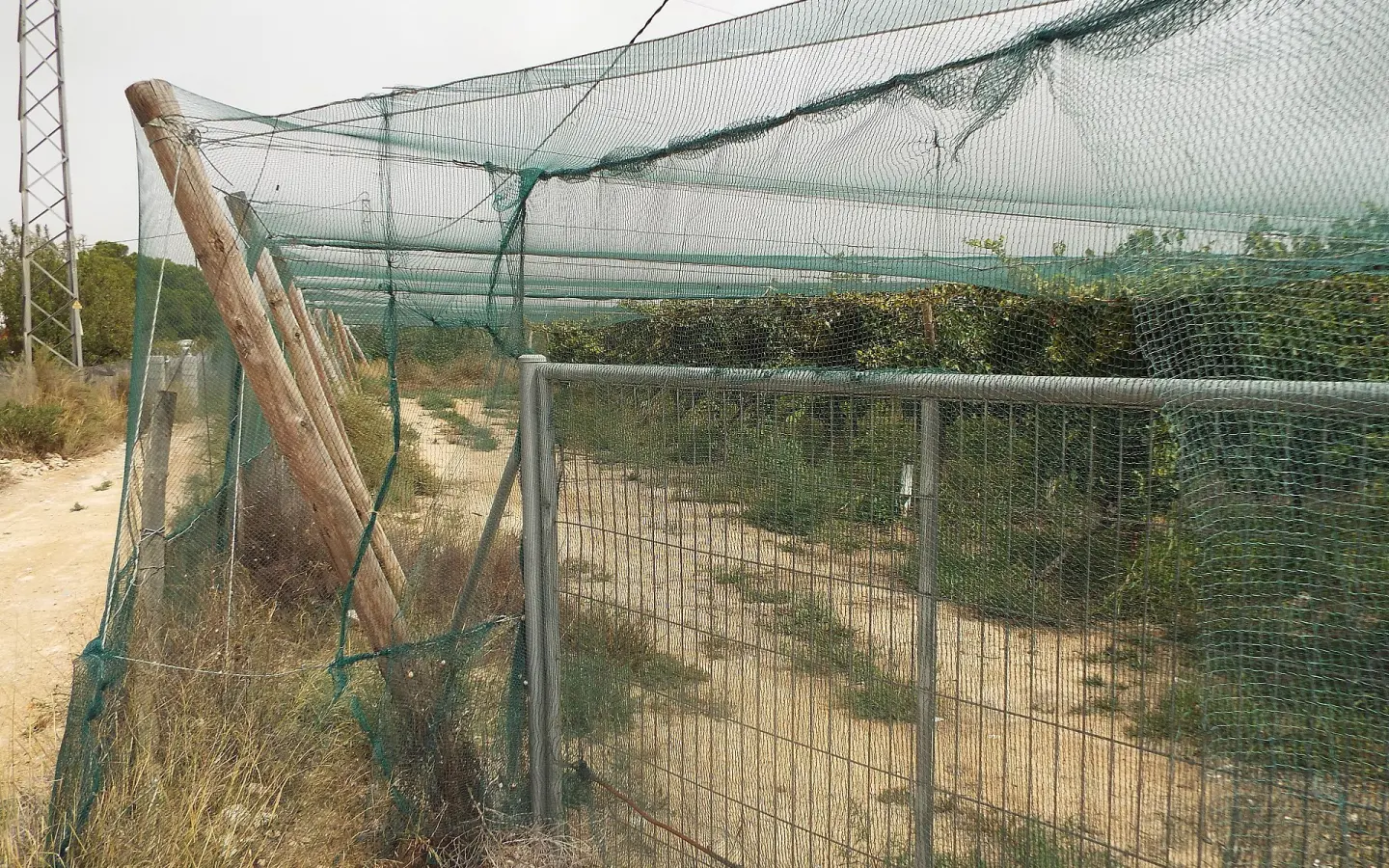 Land In Monforte Del Cid, Spain (14.694 M² Plot)