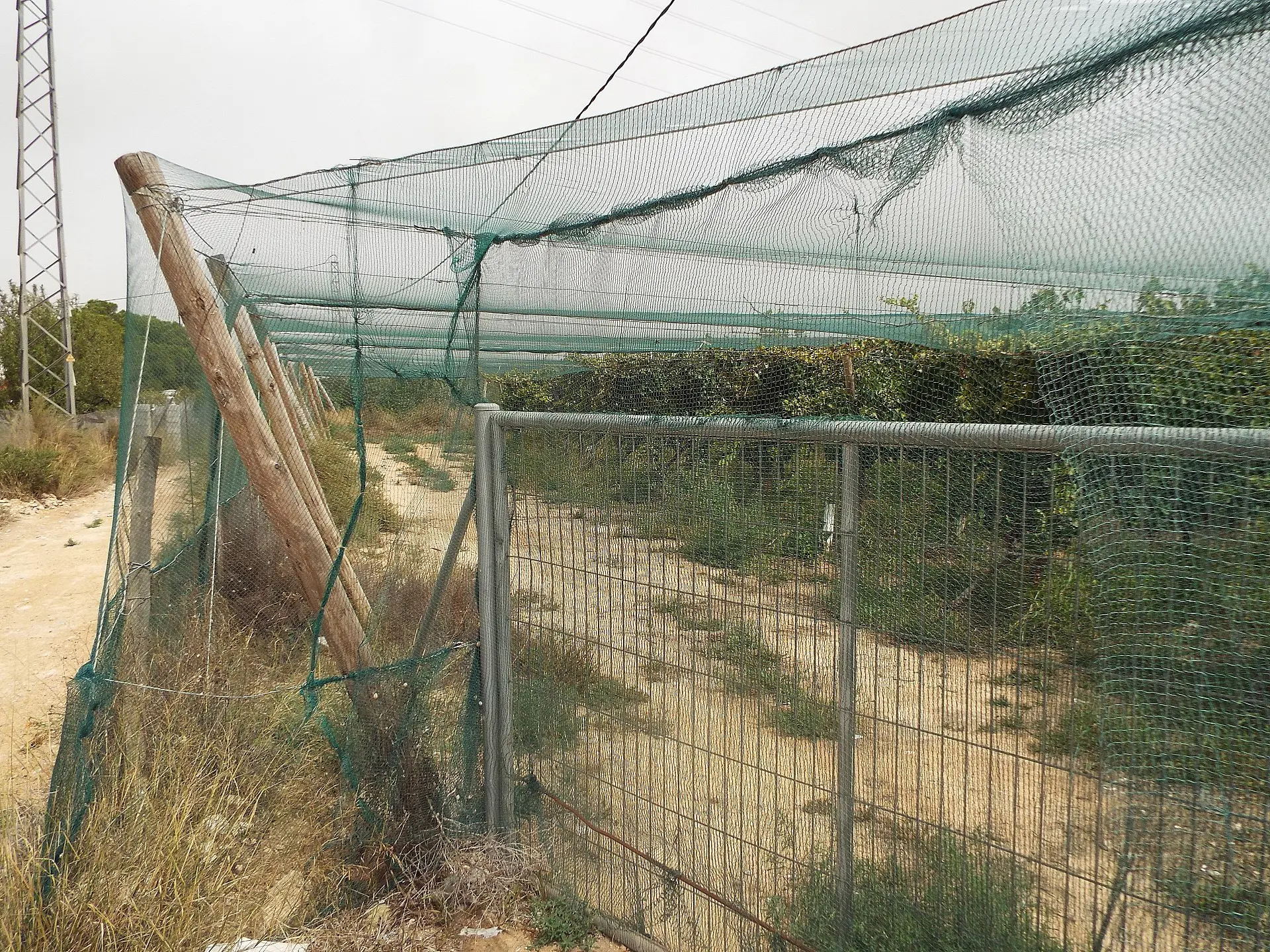 Land Of 0 M² In Monforte Del Cid, Spain