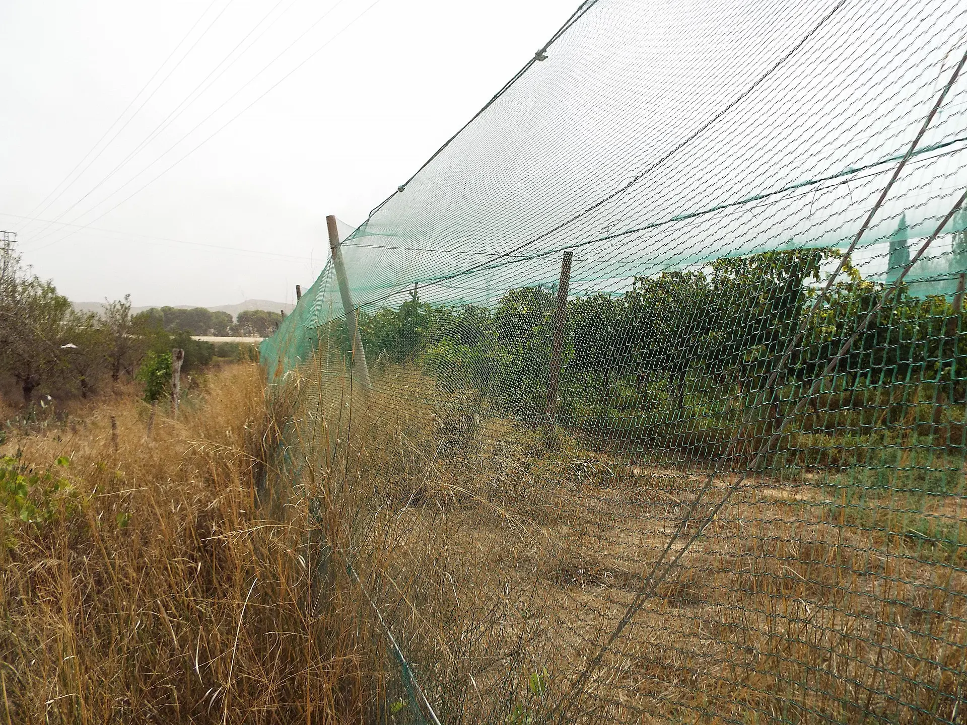 Land Of 0 M² In Monforte Del Cid, Spain