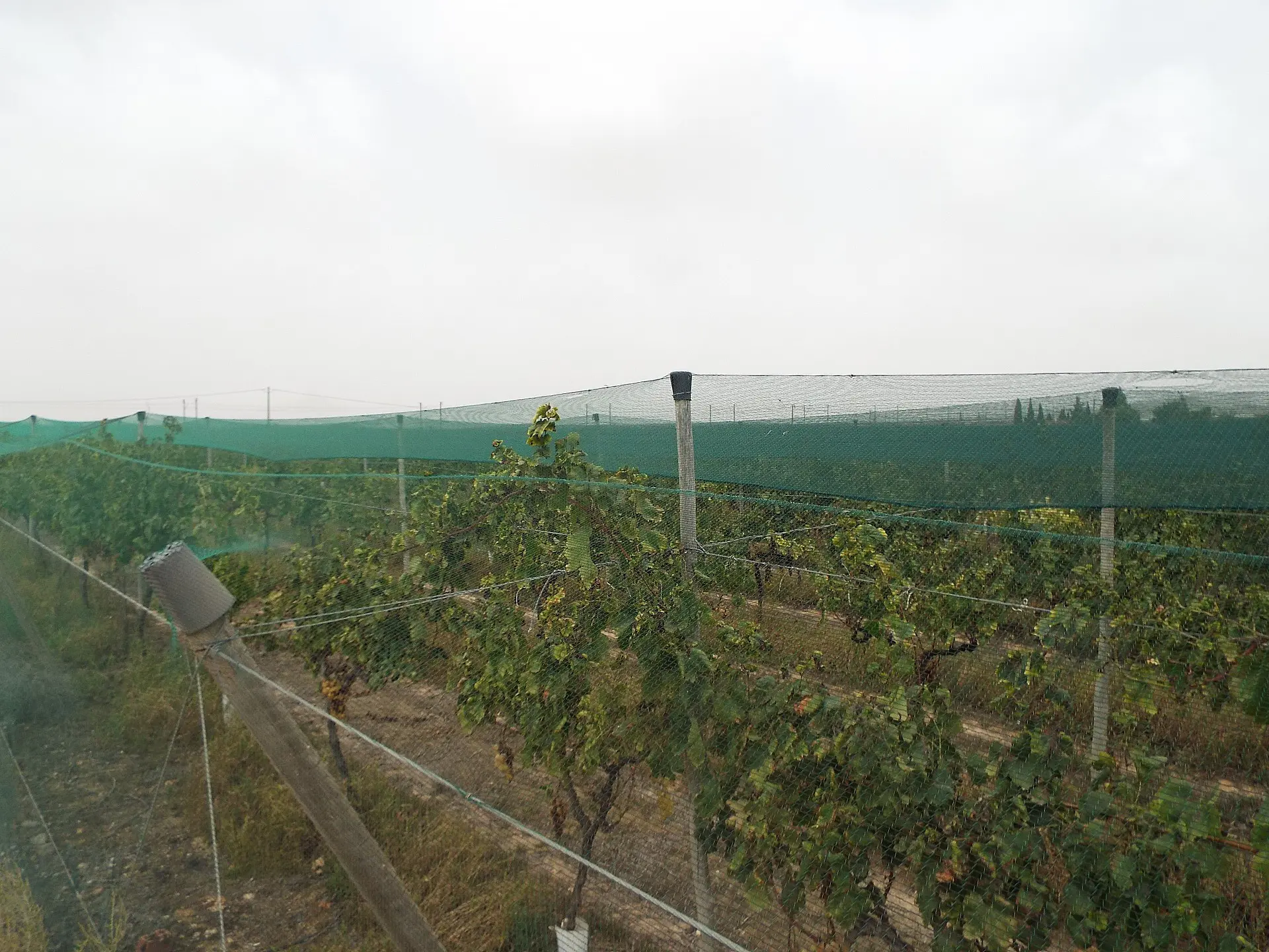 Land Of 0 M² In Monforte Del Cid, Spain