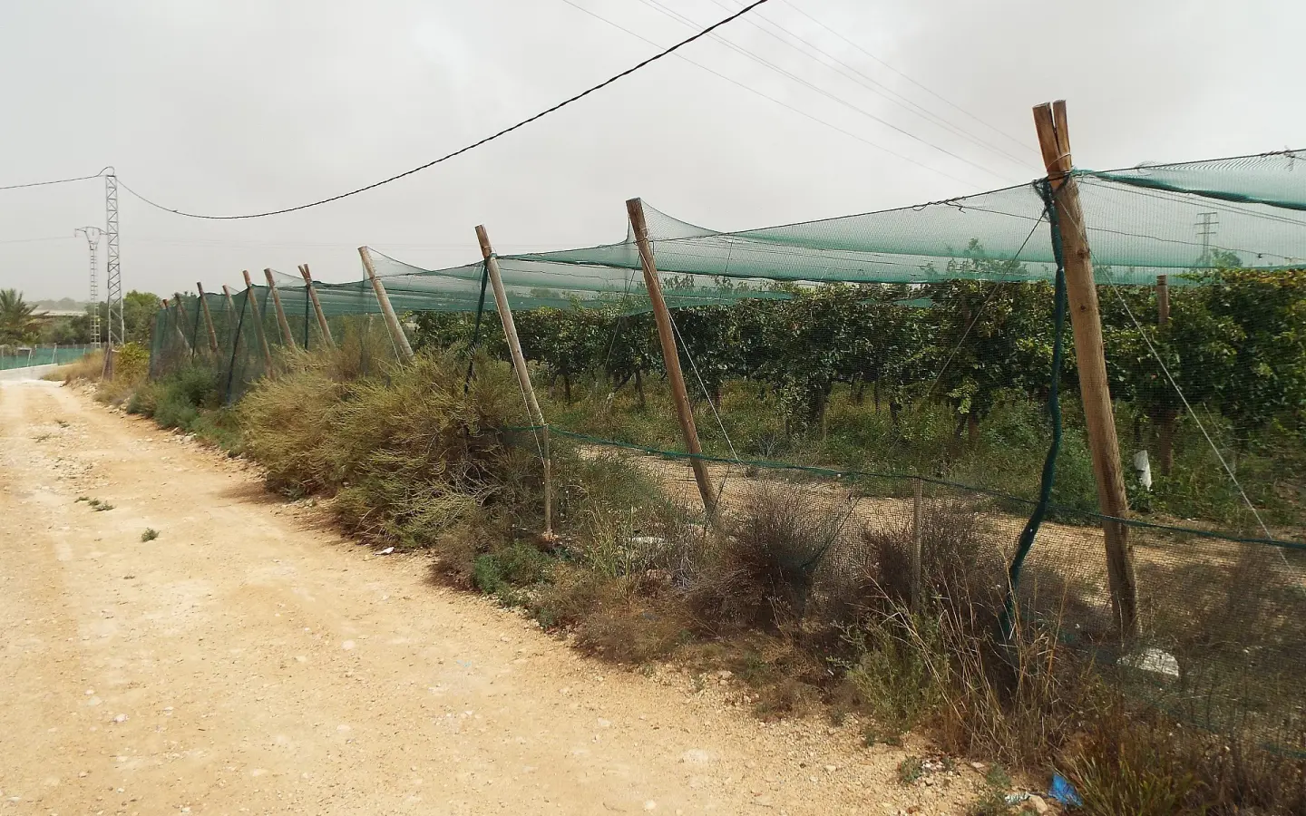 Land In Monforte Del Cid, Spain (14.694 M² Plot)
