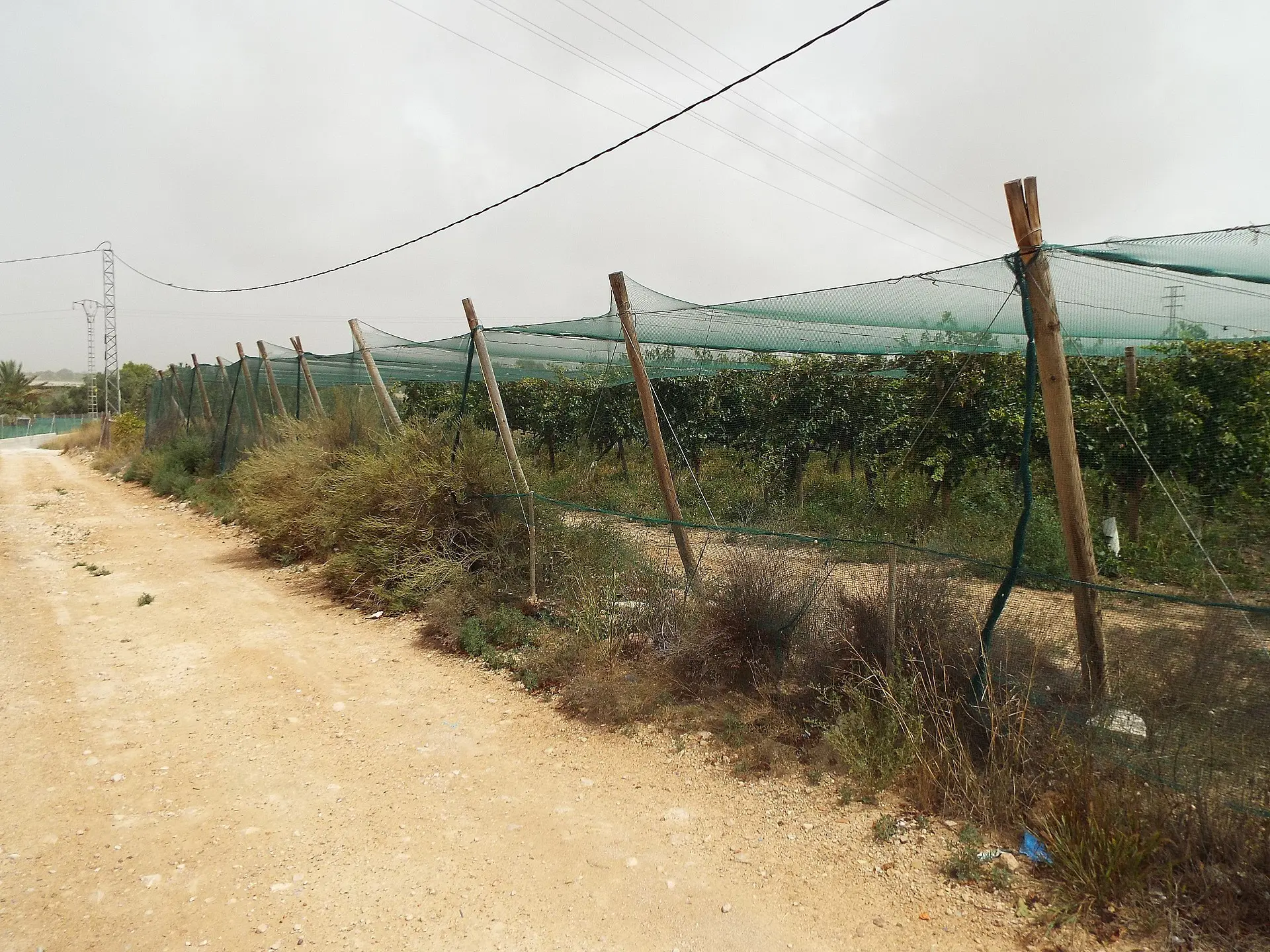 Land Of 0 M² In Monforte Del Cid, Spain
