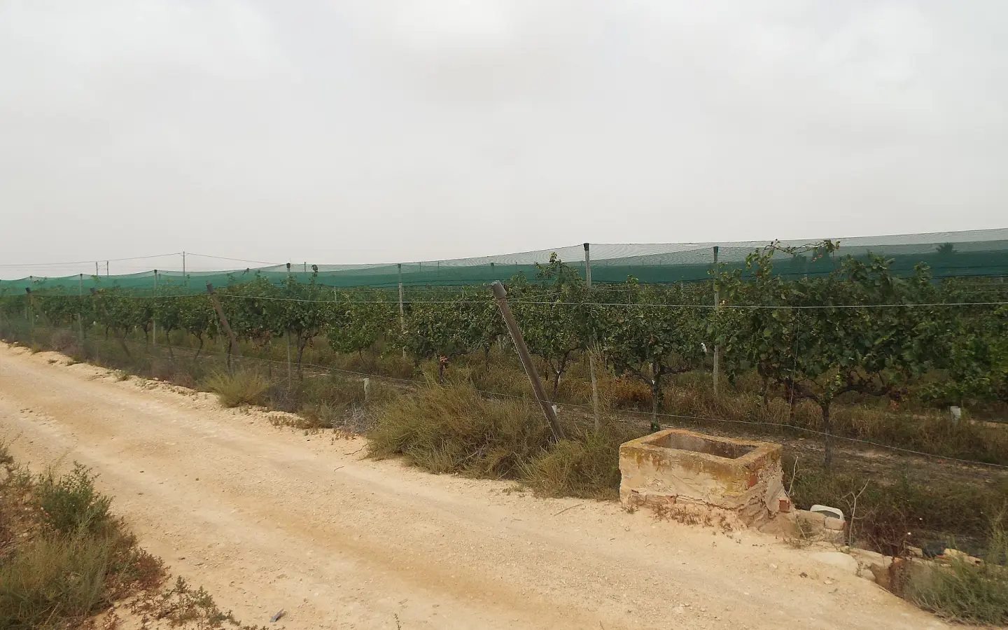 Land In Monforte Del Cid, Spain (14.694 M² Plot)